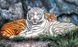 DM-288 Набір діамантового живопису Тигри на відпочинку