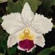КДИ-0004 Набір діамантової вишивки Біла орхідея