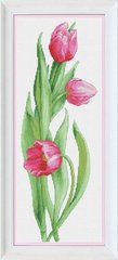 377 грн   VN-050 Розовые тюльпаны Набор для вышивания нитками