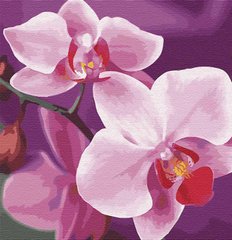 299 грн  Живопись по номерам KHO3105 Набор-картина для рисования по номерам Волшебная орхидея