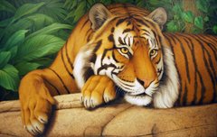 650 грн  Алмазная мозаика DMP-289 Набор алмазной живописи на подрамнике Мудрый тигр