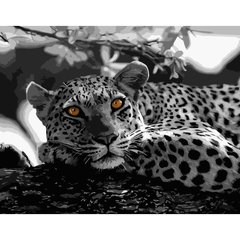 315 грн  Живопис за номерами Набір для розпису по номерах Чорно-білий леопард,40х50 см, GS051