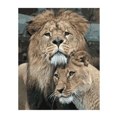 395 грн  Живопись по номерам VA-2848 Набор для рисования по номерам Лев с львицей