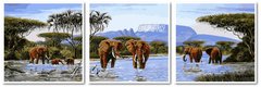 1 449 грн  Живопис за номерами VPT053 Картина за номерами Слони на водопоі Триптих 50 х 150 см