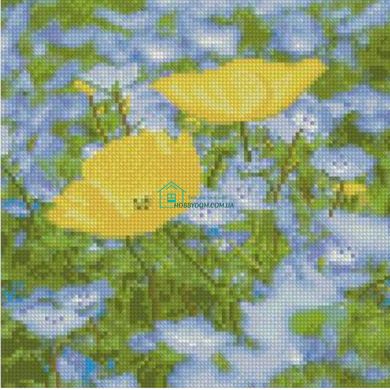 512 грн  Діамантова мозаїка Набір для творчості алмазна картина Жовто-блакитне поле, 30х30 см CA-0040
