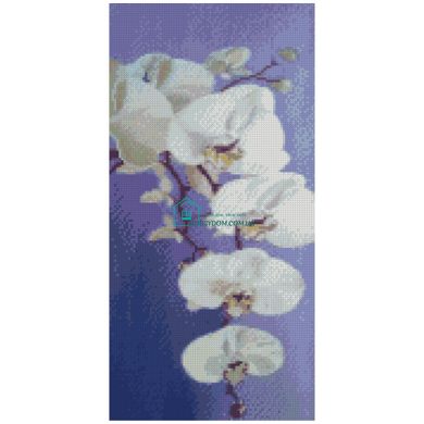 712 грн  Діамантова мозаїка BA-0013 Набір алмазної мозаїки на підрамнику Цвіт орхідеї, 50х25 см