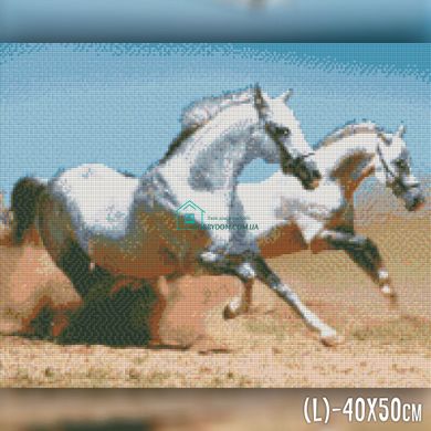 650 грн  Діамантова мозаїка TWD20030 Набір діамантової вишивки Два коня