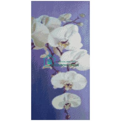 712 грн  Діамантова мозаїка BA-0013 Набір алмазної мозаїки на підрамнику Цвіт орхідеї, 50х25 см
