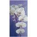 BA-0013 Набір алмазної мозаїки на підрамнику Цвіт орхідеї, 50х25 см