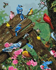 329 грн  Живопись по номерам BK-GX31565 Набор для рисования картины по номерам Разноцветные птички