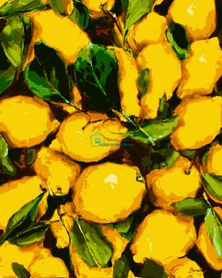335 грн  Живопись по номерам PN1235 Картины по номерам Сочные лимоны