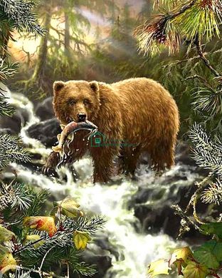 599 грн  Алмазная мозаика TN596 Набор алмазной мозаики на подрамнике Медведь на охоте