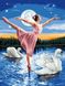 TN972 Набор алмазной мозаики на подрамнике Балерина и лебеди