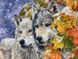 TN700 Набор алмазной мозаики на подрамнику Волк и волчица