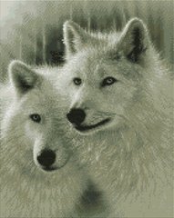 510 грн  Діамантова мозаїка ASM57 Набір алмазної мозаїки на підрамнику Білі вовки