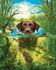 339 грн  Живопис за номерами BK-GX35832 Розмальовка для малювання по цифрам Собака в річці