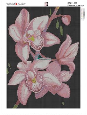 980 грн  Діамантова мозаїка КДИ-1087 Набір алмазної вишивки Рожева орхідея