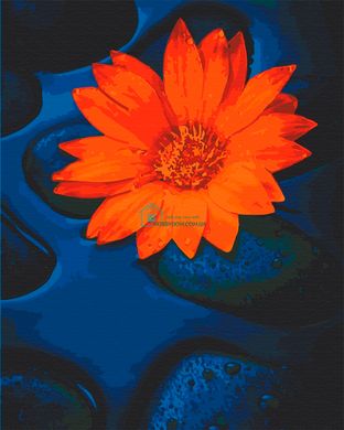 295 грн  Живопис за номерами 13124-AC Набір-розмальовка за номерами Квітка лотосу