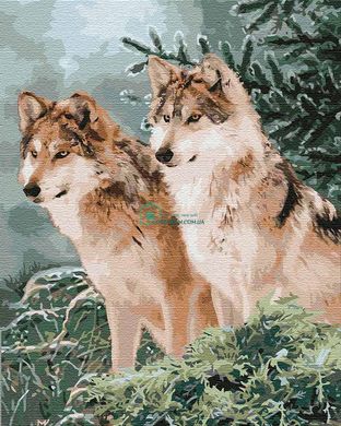 299 грн  Живопис за номерами KH4191 Набір-картина для малювання за номерами Погляд вовка