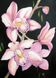 КДИ-1087 Набор алмазной вышивки Розовая орхидея