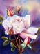 КДИ-0627 Набір алмазної вишивки Акварельна троянда. Художник Marianne Broome