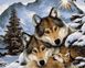 VPS1023 Картина-розмальовка за номерами Родина вовків