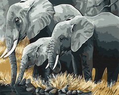329 грн  Живопись по номерам BS3810 Набор для рисования картины по номерам Семья слонов