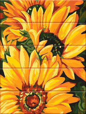 435 грн  Живопис за номерами ASW186 Картина за номерами на дерев'яній основі Соняшні квіти 30 х 40 см