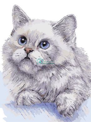 319 грн  Живопись по номерам AS0311 Раскраска по номерам Белый кот