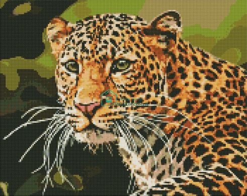 535 грн  Алмазная мозаика AMO7502 Алмазная мозаика на подрамнике Зеленоглазый леопард, 40х50 см