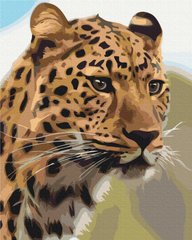 329 грн  Живопись по номерам BS52449 Картина раскраска Пятнистый леопард 40 х 50 см