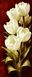 КДИ-0629 Набор алмазной вышивки Белые тюльпаны-2. Художник Levashov Igor