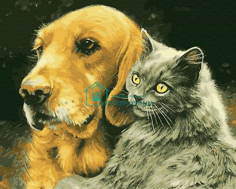 339 грн  Живопис за номерами BK-GX28848 Набір для малювання по номерам Кіт і пес