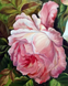 КДИ-1543 Набір алмазної вишивки Рожева троянда