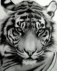459 грн  Живопись по номерам VP1194 Картина-раскраска по номерам Величественный тигр