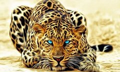 650 грн  Алмазная мозаика DM-103 Набор алмазной живописи Огненный леопард