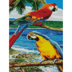 557 грн  Діамантова мозаїка Алмазна картина HX133 Папуги на пляжі, розміром 30х40 см