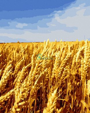 279 грн  Живопись по номерам BK-GX44804 Картины по номерам Душистая пшеница 40 х 50 см