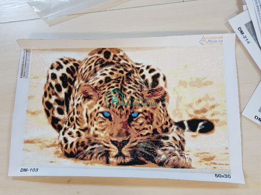 650 грн  Діамантова мозаїка DM-103 Набір діамантового живопису Вогняний леопард