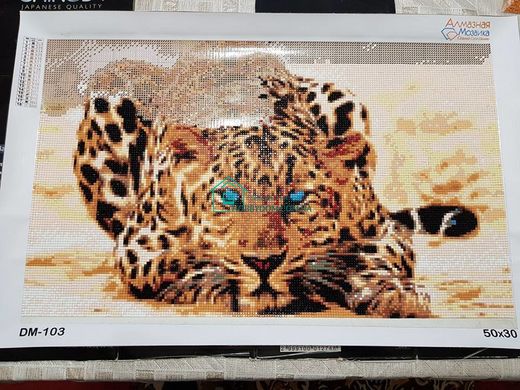 650 грн  Алмазная мозаика DM-103 Набор алмазной живописи Огненный леопард
