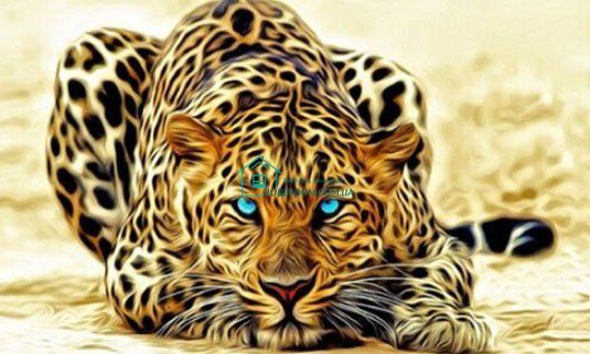 650 грн  Діамантова мозаїка DM-103 Набір діамантового живопису Вогняний леопард