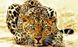 DM-103 Набор алмазной живописи Огненный леопард