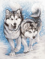 535 грн  Живопись по номерам AS0956 Набор для рисования по номерам Северные собаки