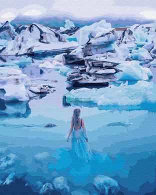 329 грн  Живопись по номерам BK-GX28893 Картина для рисования по номерами Девушка в Антарктиде