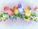 DMP-202 Набор алмазной живописи на подрамнике Целующиеся попугаи