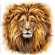 DMP-051 Набор алмазной живописи на подрамнике Взгляд льва