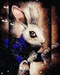 319 грн  Живопись по номерам AS0742 Набор для рисования по номерам Загадочный кролик