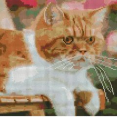 512 грн  Діамантова мозаїка Набір для творчості алмазна картина Серйозний рудий кіт, 30х30 см CA-0036