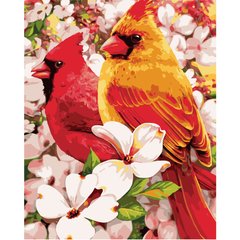 395 грн  Живопись по номерам VA-0922 Набор для рисования по номерам Птици в цветах
