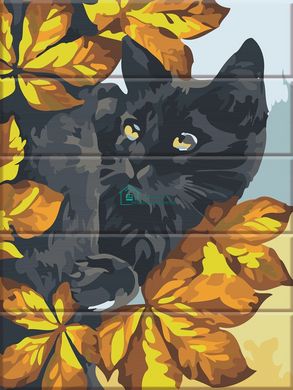 435 грн  Живопись по номерам ASW175 Раскраска по номерам на деревянной основе Черный кот